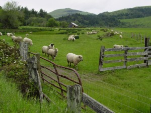 mattole farm