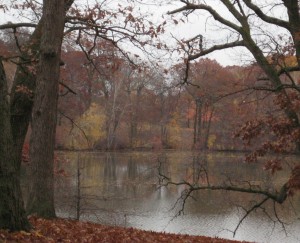 Pleasure Lake in Roger Williams Park