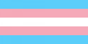 2000px-Transgender_Pride_flag.svg