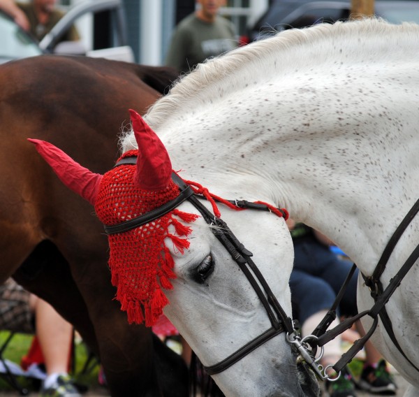 2015-07-04 Ancients & Horribles Parade 4605