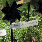 Pinwheels for Gaza
