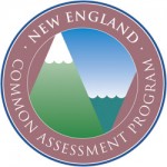The NECAP standards aren't that different than the Common Core standards