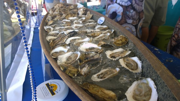 Oysters from Salt Water Farms,  ready to be eaten. 