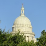 Primaries Prove Fruitful for Progressive Agenda