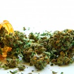 Photo courtesy of http://marijuanaindustrygroup.org/
