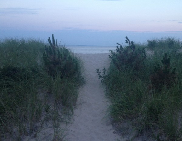 east beach dune