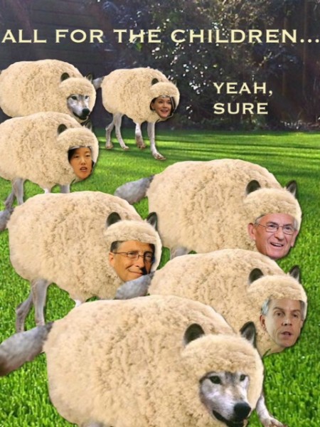 education sheep