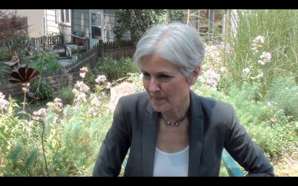 jill stein