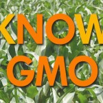Learn more about GMO's on Thursday in Providence