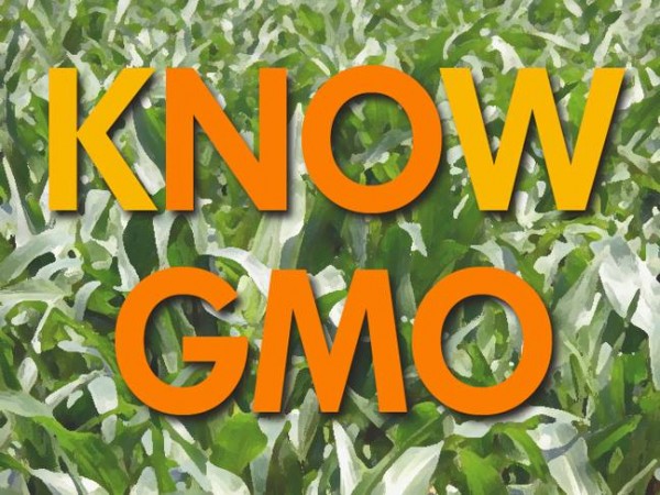 knowgmo