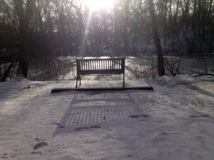 mill pond bench