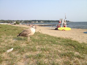 Oakland Beach in Warwick.