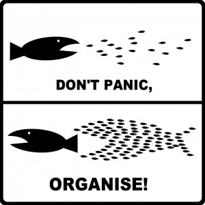 organize