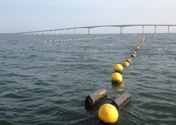 oyster farm