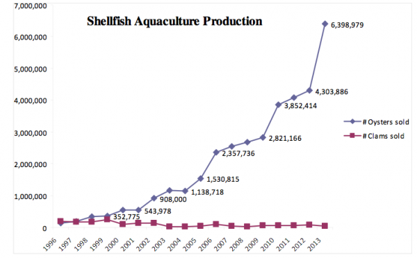 oyster production