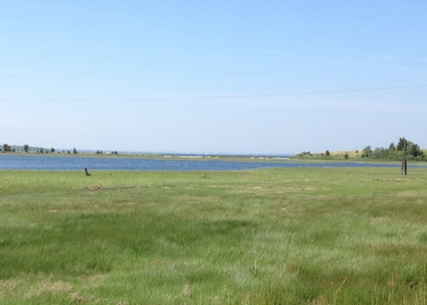 The Providence skyline from Prudence Island. 