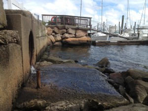 Stormwater runoff, no doubt filled with non-point source pollutiion, is spilling into Greenwich Cove and closing my favorite beach at Goddard Park. 