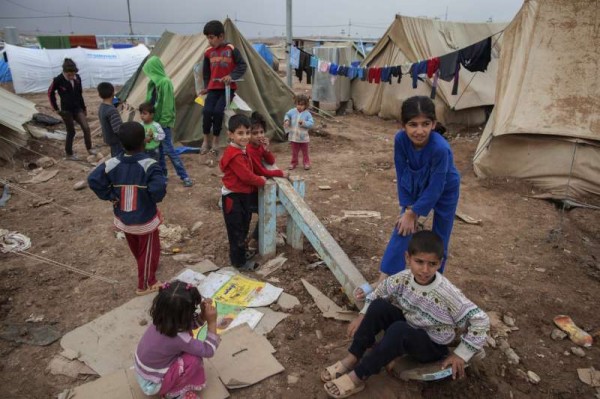 Photo from UNHCR.org. 